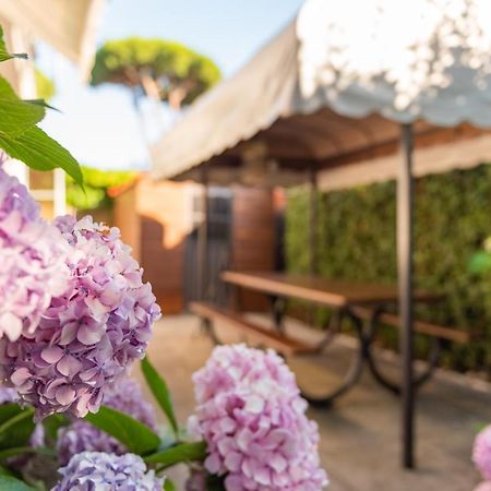 Apartment Holiday Versilia Camaiore Exterior photo