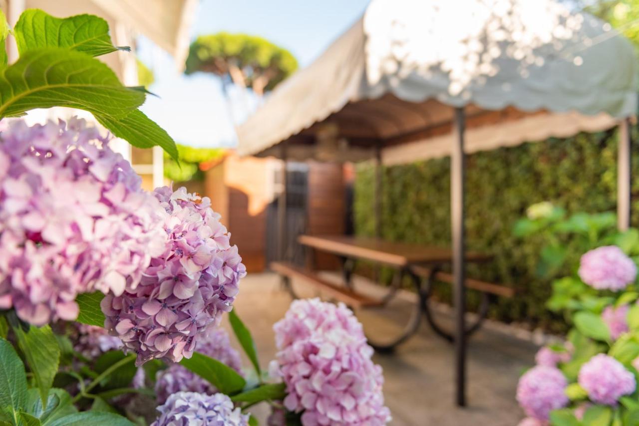 Apartment Holiday Versilia Camaiore Exterior photo